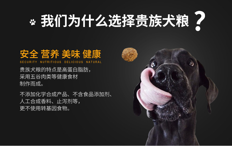 成犬通用狗粮最新动态与发展展望